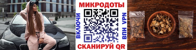 Псилоцибиновые грибы Psilocybe Сафоново