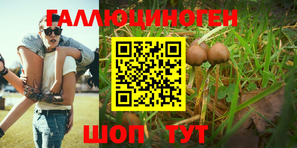 Галлюциногенные грибы мухоморы Сафоново