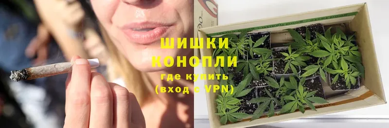 купить наркотик  Сафоново  Конопля THC 21% 